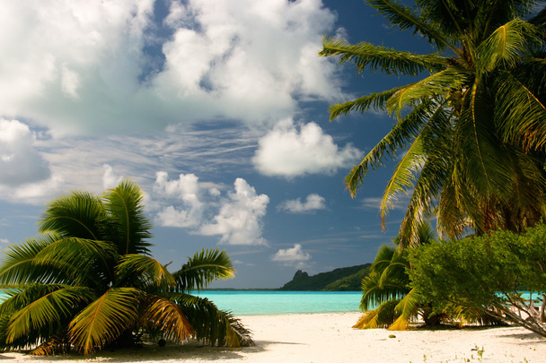 Пляж "Бесконечность" на острове Митити во Французской Полинезии, острова Общество
 - Фото, изображение
