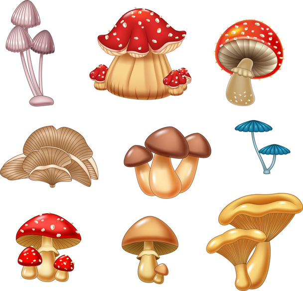 Ilustração da coleção de cogumelos
 - Vetor, Imagem