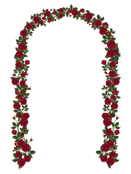 Arch of red climbing roses - Vector, Image