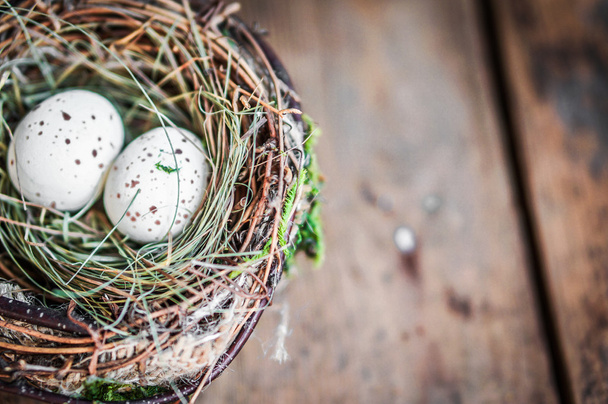 Nido di uova di Pasqua su sfondo rustico in legno
 - Foto, immagini