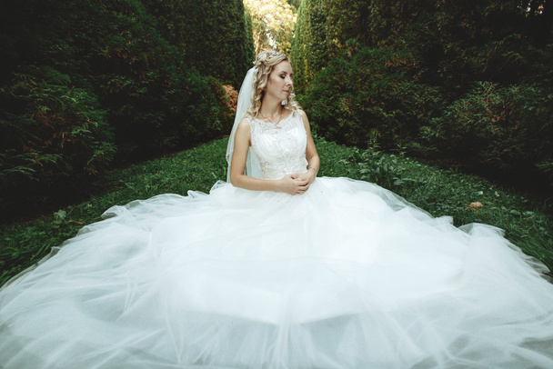 elegante gelukkige bruid - Foto, afbeelding