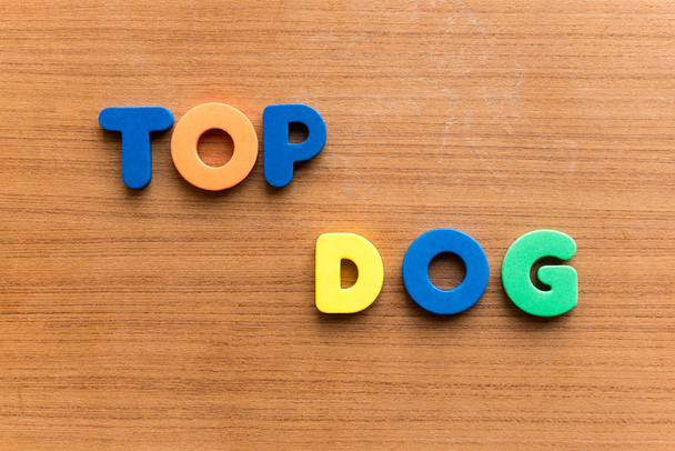 tető kutya hasznos üzleti szó - Fotó, kép