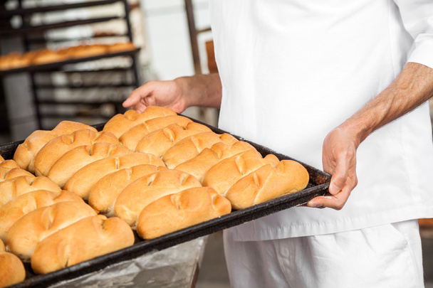 Midsection Of Baker Carrying Breads In Baking Tray - Photo, Image