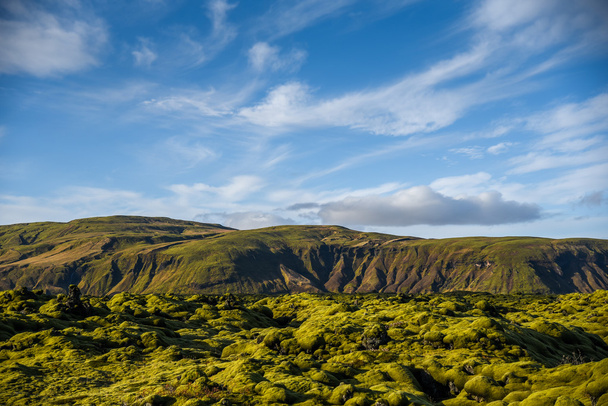 cubierta de musgo en el paisaje volcánico de Islandia
 - Foto, Imagen