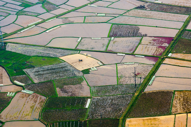vue aérienne des rizières
 - Photo, image