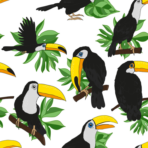 pattern with tropic toucans and palm leaves - Вектор,изображение