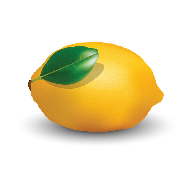 Lemon fruit for your design - Вектор,изображение