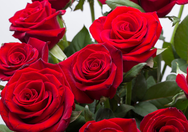 濃い赤のバラを咲かせる花束 - 写真・画像