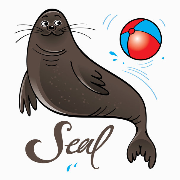 seal playing with ball - Vector, Image