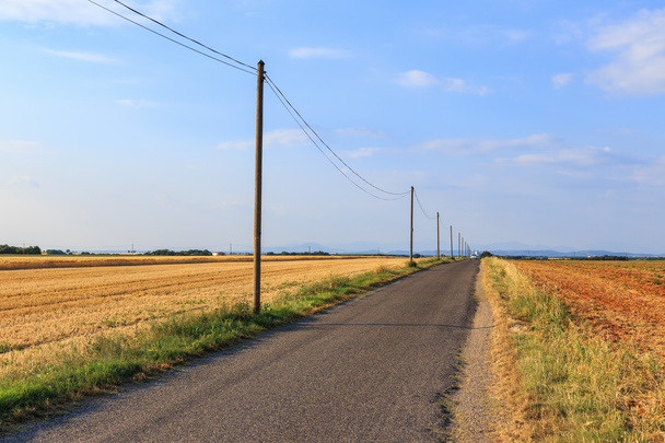 Estrada rural através de terras agrícolas perto de Valensole
 - Foto, Imagem