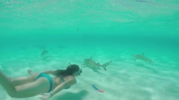 Pomalý pohyb: mladá žena plavání pod vodou a šnorchlování se žraloky - Záběry, video