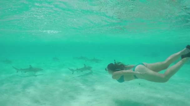 Pomalý pohyb: mladá žena plavání pod vodou a šnorchlování se žraloky - Záběry, video