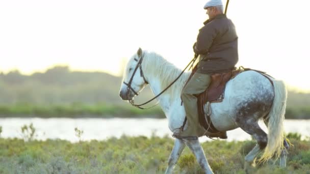 cowboys montando em cavalos brancos
 - Filmagem, Vídeo