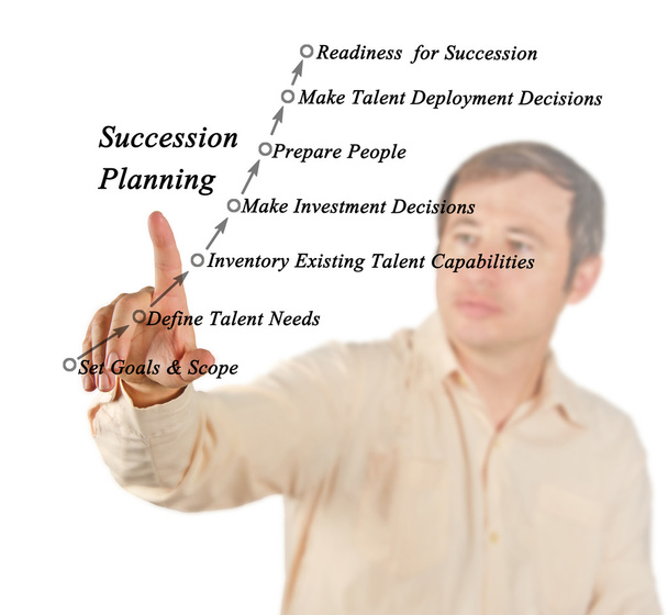 Successieplanning & beheerproces - Foto, afbeelding