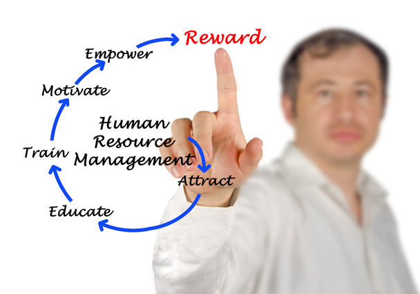Diagram of human resource management - Photo, Image