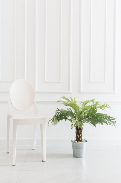 Sedia vuota con pianta vaso
 - Foto, immagini
