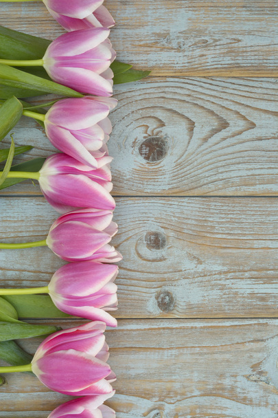 Fundo de madeira azul cinzento velho com borda branca rosa das tulipas em uma fileira e espaço vazio da cópia com decoração de verão de madeira da mola
 - Foto, Imagem