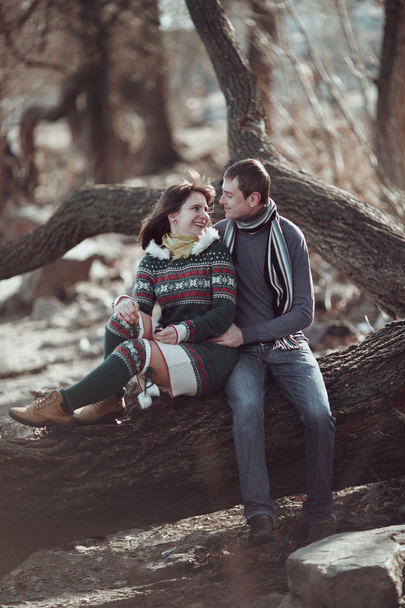 Romantický pár sedící na větvi stromu v lese na jaře.  - Fotografie, Obrázek