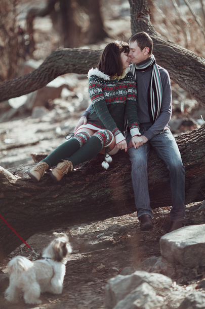 Coppia romantica seduta su un ramo d'albero nella foresta primaverile
.  - Foto, immagini