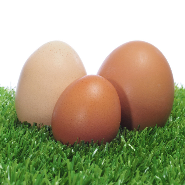 Eggs on the grass - Photo, Image
