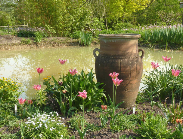 Tuin pot met bloemen - Foto, afbeelding