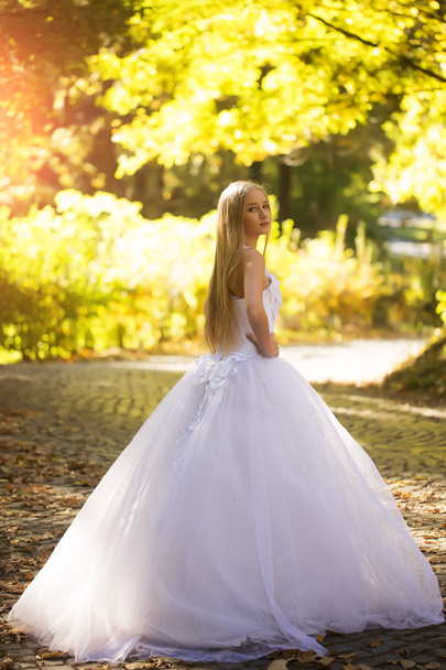 Bride in beautiful dress outdoor - Φωτογραφία, εικόνα