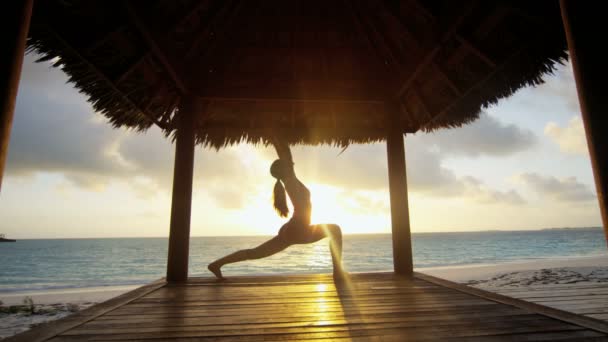 mladá dívka, cvičí jógu na pláži - Záběry, video