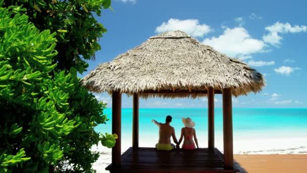pareja en thatched tiki cabaña en playa
 - Imágenes, Vídeo