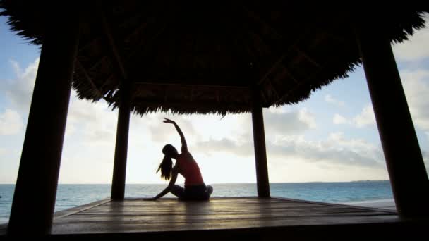 Nuori tyttö harjoittelee joogaa rannalla
 - Materiaali, video