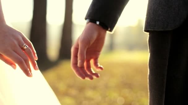 Heiraten Sie mich heute und jeden Tag. Frischvermähltes Paar Händchen haltend, in Zeitlupe geschossen - Filmmaterial, Video
