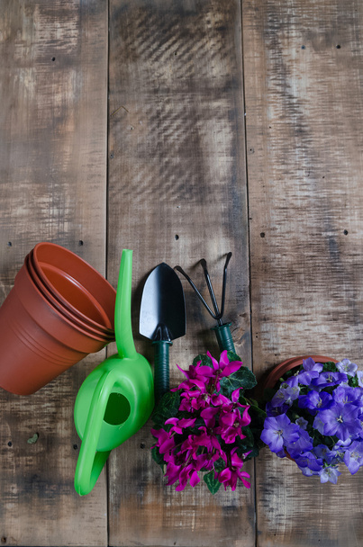 Gardening tools and flower on wooden background - Photo, image
