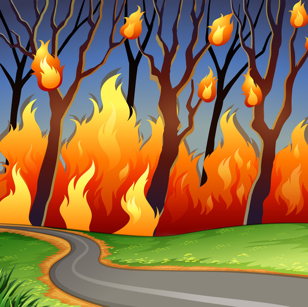 Scena katastrofy pożar lasu - Wektor, obraz