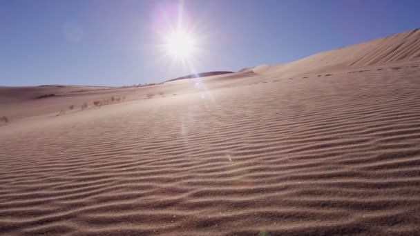 Прогулка по песчаной пустыне
  - Кадры, видео