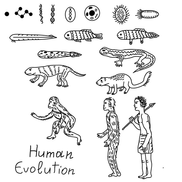 απεικόνιση της ανθρώπινης εξέλιξης - Διάνυσμα, εικόνα