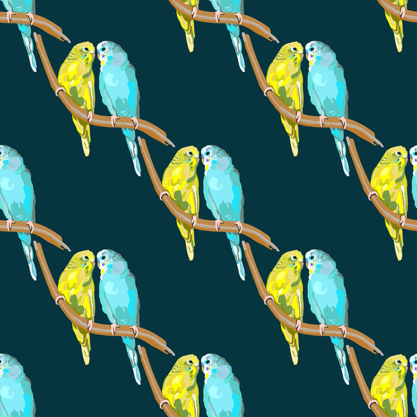 Papağan Avustralya renkli - Vektör, Görsel