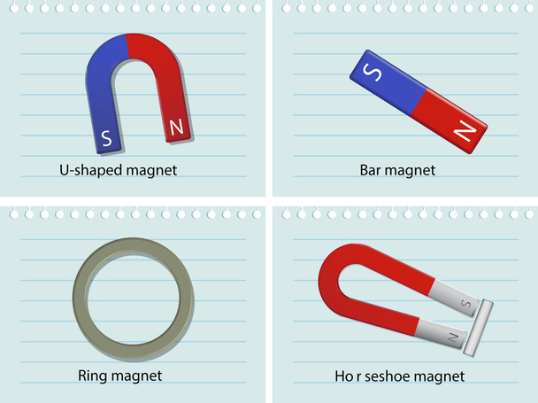 磁石の 4 種類 - ベクター画像