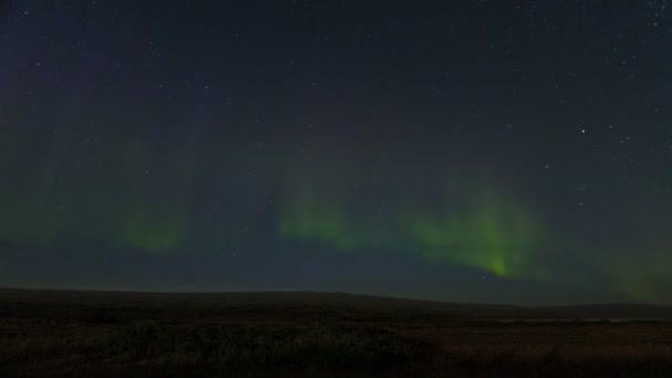 winter Northern Lights in Iceland  - Footage, Video