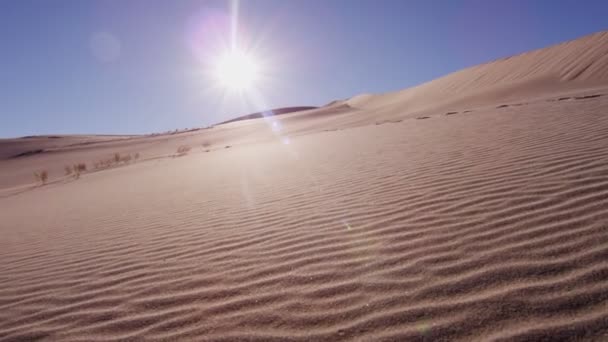 caminando por el desierto de arena
  - Metraje, vídeo