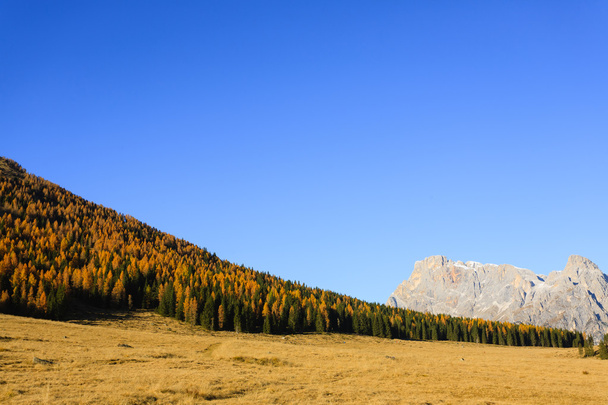 Panorama otoñal de los Alpes italianos
 - Foto, imagen