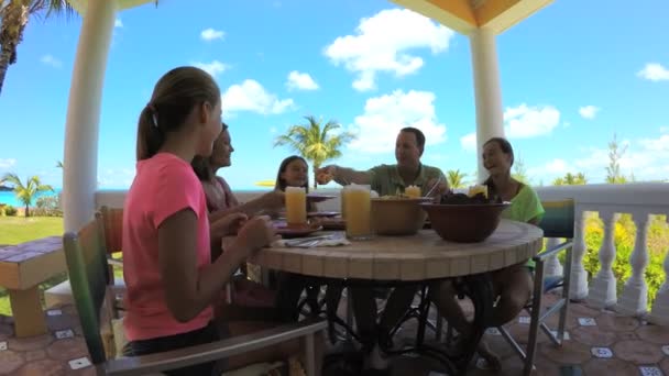 Valkoihoinen perhe nauttii syömisestä rannalla
  - Materiaali, video