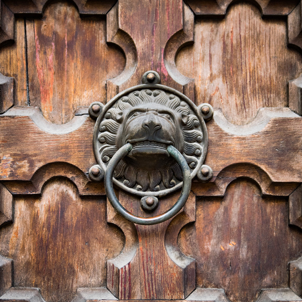 Antieke deur knocker vormige lion's head. - Foto, afbeelding