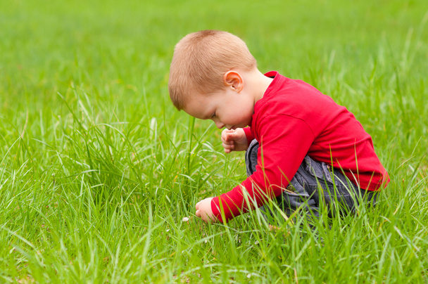Милий маленький хлопчик досліджує природу в прекрасний весняний день
 - Фото, зображення