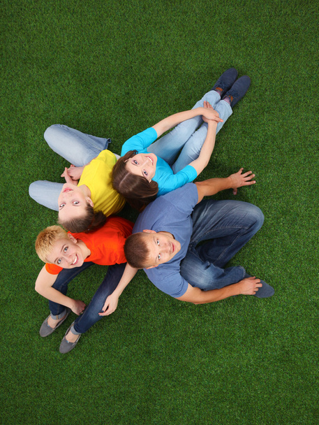Group of young people sitting on green grass - 写真・画像