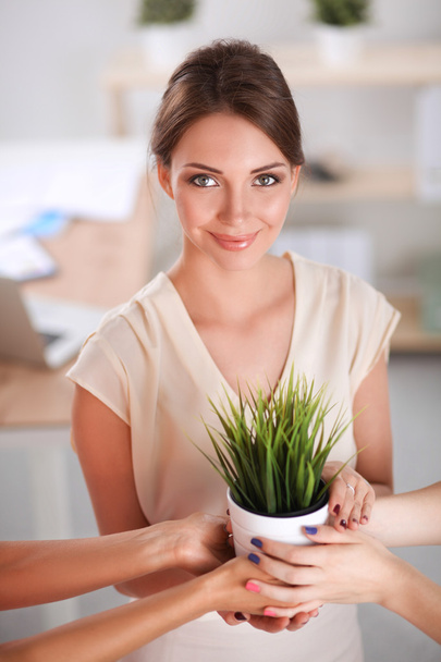 Beautiful woman holding pot with a plant - Zdjęcie, obraz