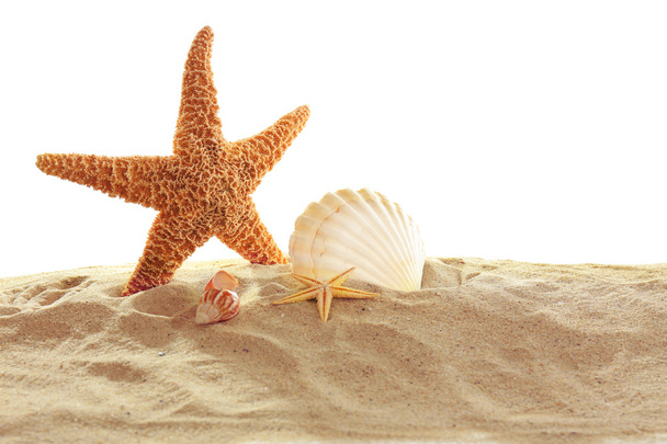 Sea star and shells on sand - Foto, afbeelding