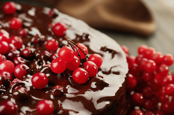 Chocolate cake with cranberries, closeup - 写真・画像