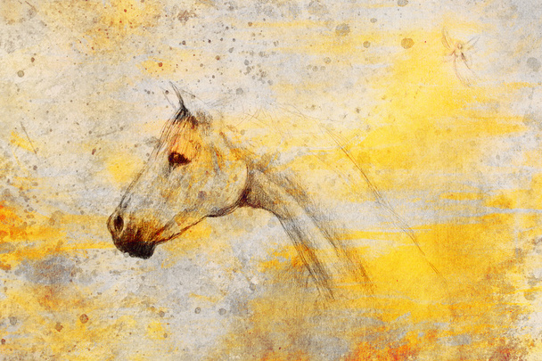 horse pencil drawing and little fairy on old paper, vintage paper and old structure with color spots. - Photo, Image