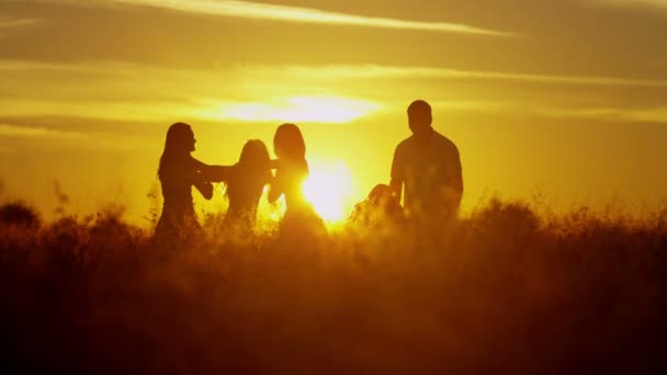 rodiče s dcerami v louce při západu slunce - Záběry, video