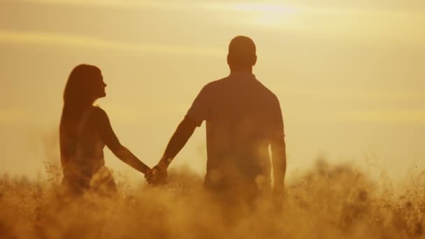 ζευγάρι ερωτευμένων περπάτημα στο Λιβάδι στο ηλιοβασίλεμα - Πλάνα, βίντεο