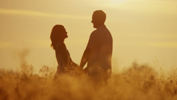 verliefde paar lopen op weide bij zonsondergang - Video
